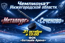 выкса.рф, 🏒 Хоккейный матч: «Металлург» против «Сеченова»